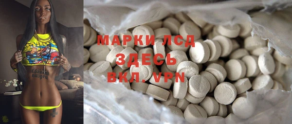 сатива Медвежьегорск