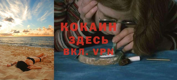 шишки Мегион