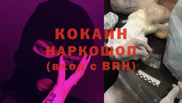 шишки Мегион