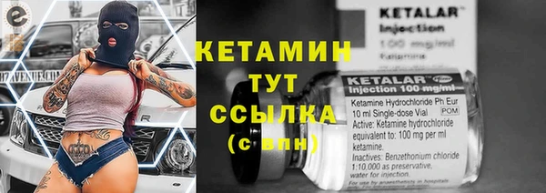 сатива Медвежьегорск