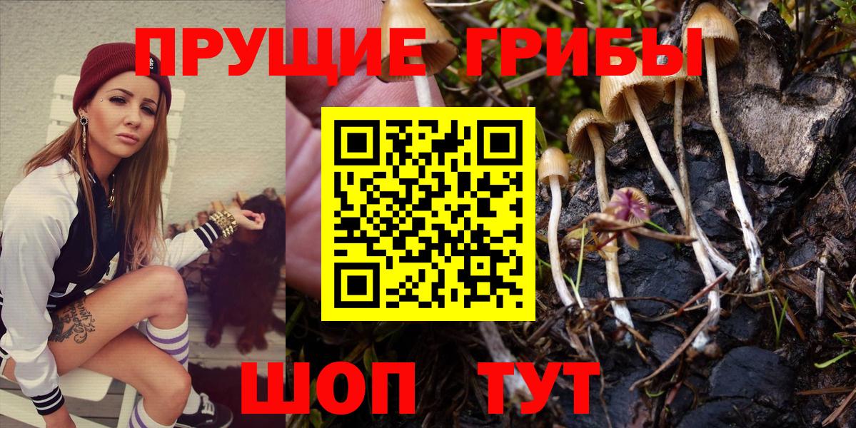 Псилоцибиновые грибы MAGIC MUSHROOMS Звенигород