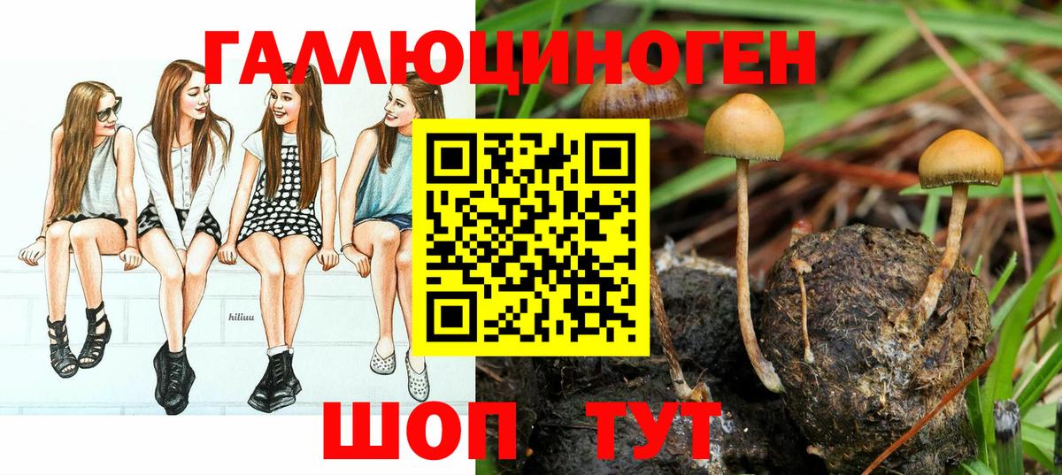 Псилоцибиновые грибы мухоморы Звенигород