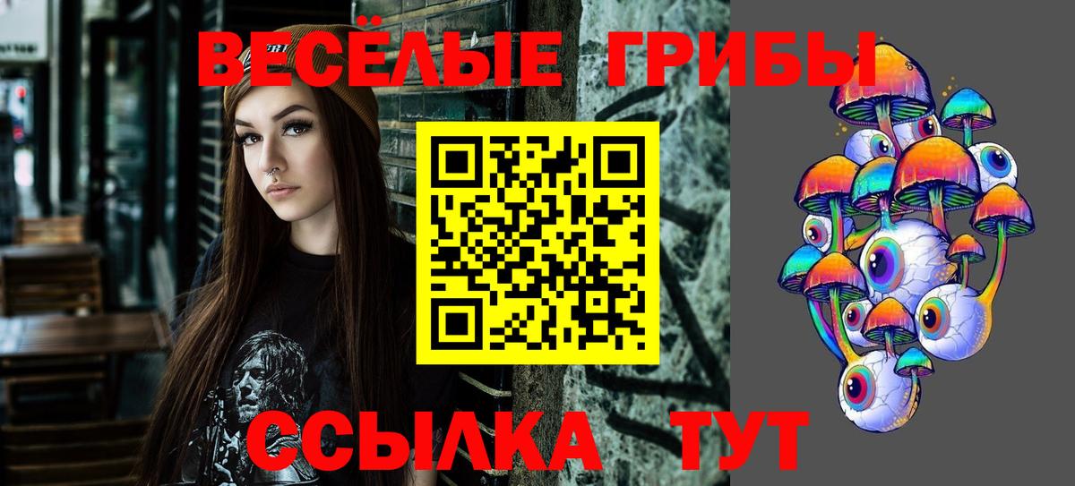 Галлюциногенные грибы мицелий  Вход с VPN  Звенигород 